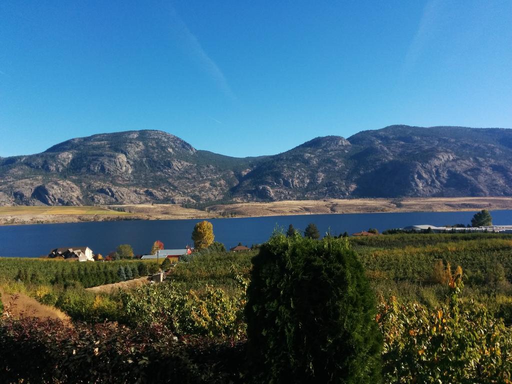 Ciliegia Villa Osoyoos Ruang foto
